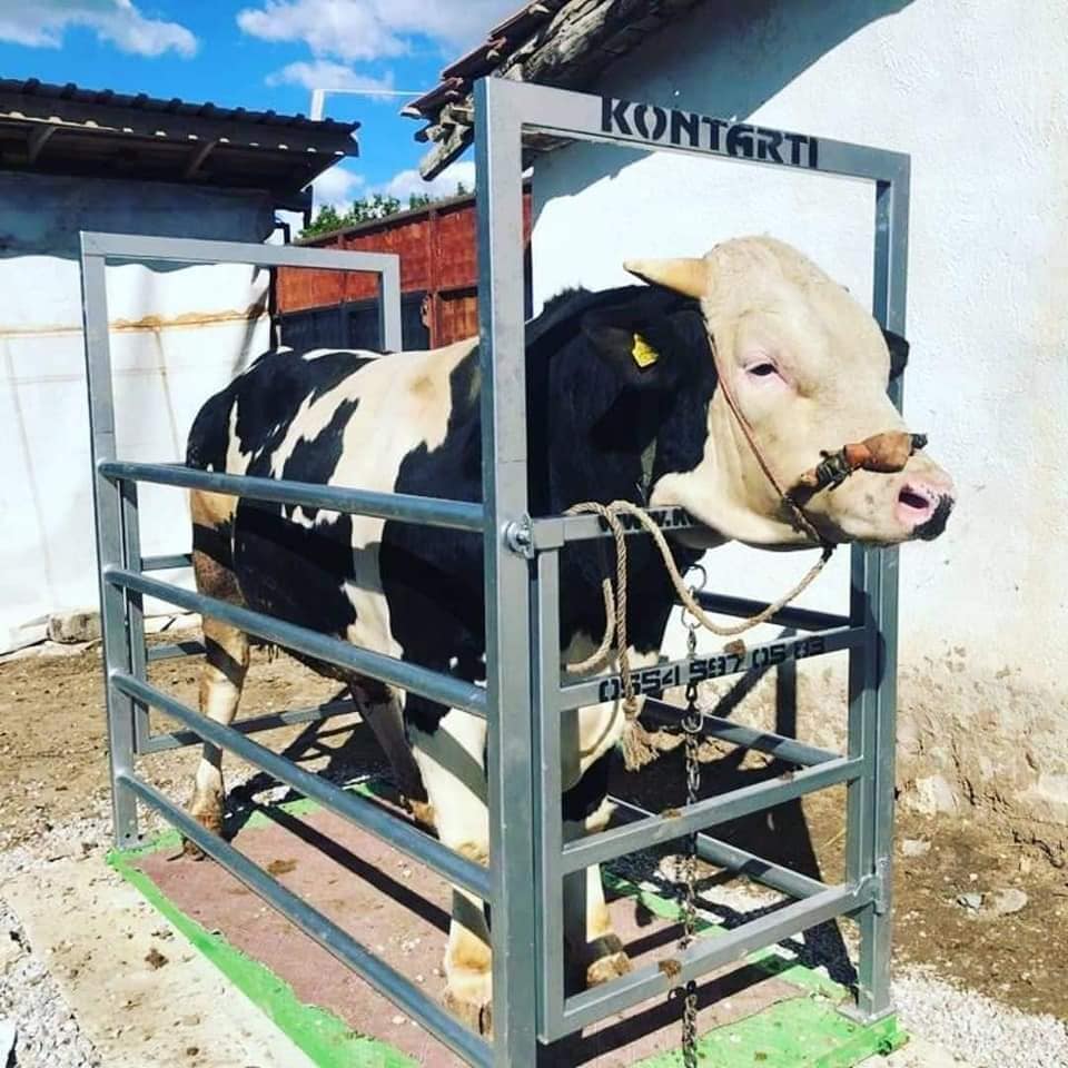 Haymet Hayvan kantarı