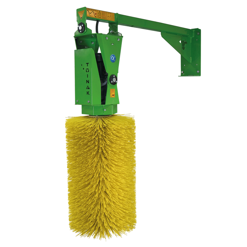 Toinak hayvan Kaşıma fırcası